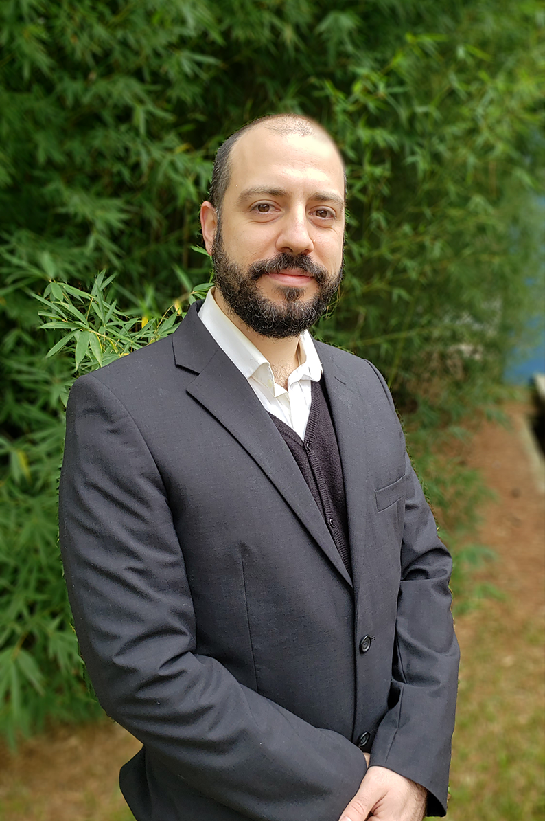 Prof. Dr. Luis Henrique A. Lolis